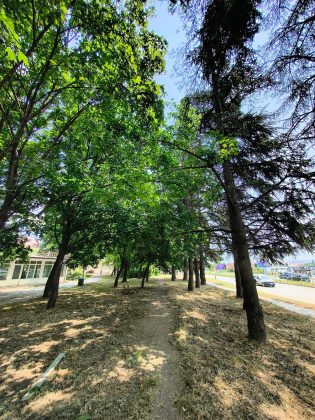 Motorola Edge (2025) против Motorola Edge (2024)