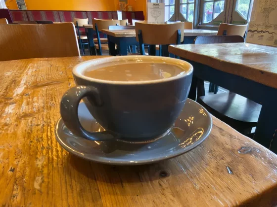 Обзор Motorola Edge 60 Pro: один из красивейших телефонов года фото