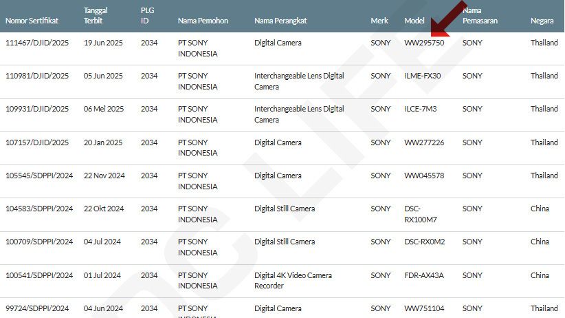 Разоблачение: новая «загадочная» камера Sony оказалась предсказуемой фото