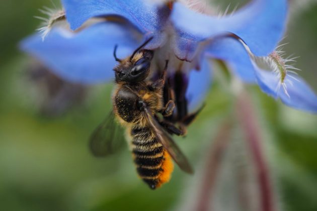 OM System OM-5 II в деле: галерея снимков, которые заставят вас захотеть эту камеру фото