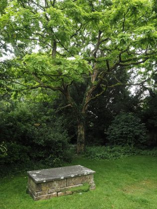 OM System OM-5 II в деле: галерея снимков, которые заставят вас захотеть эту камеру фото