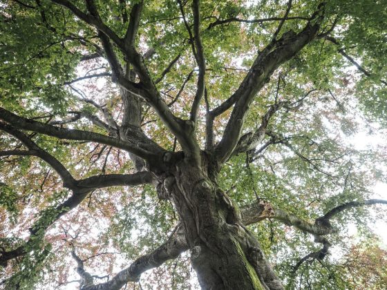 OM System OM-5 II в деле: галерея снимков, которые заставят вас захотеть эту камеру фото