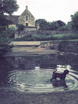 OM System OM-5 II в деле: галерея снимков, которые заставят вас захотеть эту камеру фото