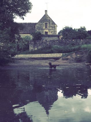 OM System OM-5 II в деле: галерея снимков, которые заставят вас захотеть эту камеру фото