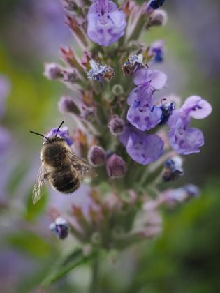 OM System OM-5 II в деле: галерея снимков, которые заставят вас захотеть эту камеру фото