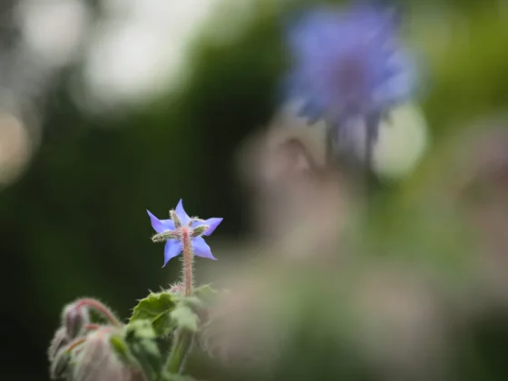 OM System OM-5 II в деле: галерея снимков, которые заставят вас захотеть эту камеру фото