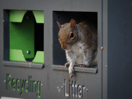 OM System OM-5 II в деле: галерея снимков, которые заставят вас захотеть эту камеру фото