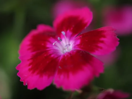 OM System OM-5 II в деле: галерея снимков, которые заставят вас захотеть эту камеру фото