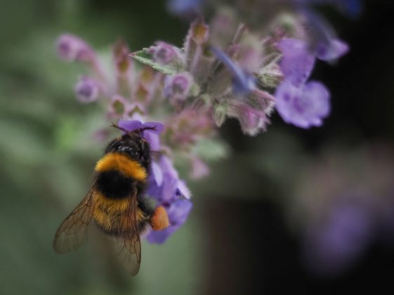 OM System OM-5 II в деле: галерея снимков, которые заставят вас захотеть эту камеру фото