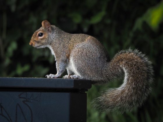 OM System OM-5 II в деле: галерея снимков, которые заставят вас захотеть эту камеру фото