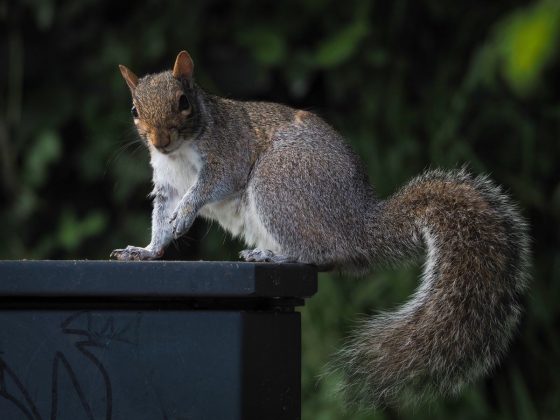OM System OM-5 II в деле: галерея снимков, которые заставят вас захотеть эту камеру фото