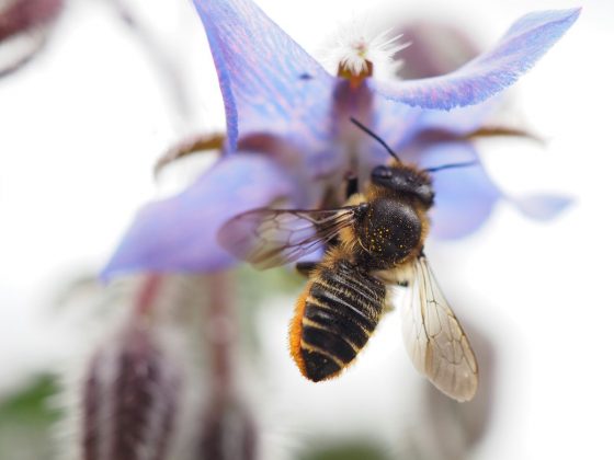 OM System OM-5 II в деле: галерея снимков, которые заставят вас захотеть эту камеру фото