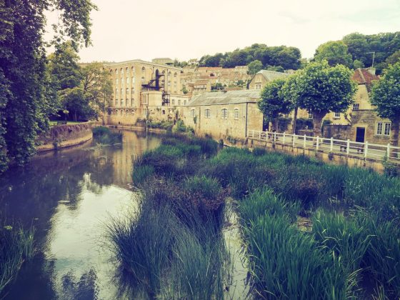 OM System OM-5 II в деле: галерея снимков, которые заставят вас захотеть эту камеру фото