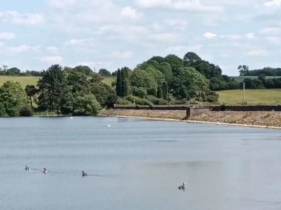 Обзор Oppo A5 5G: большая батарея и куча компромиссов фото