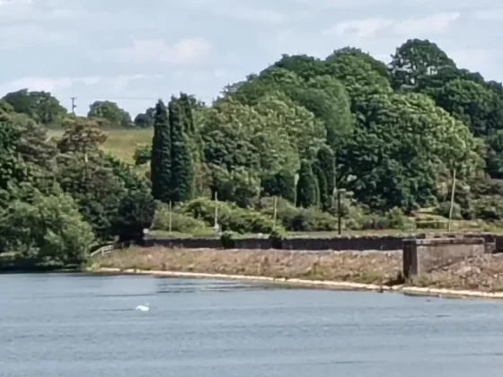 Обзор Oppo A5 5G: большая батарея и куча компромиссов фото