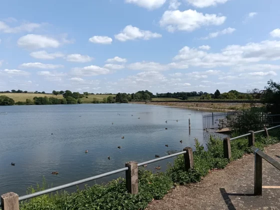 Обзор Oppo A5 5G: большая батарея и куча компромиссов фото