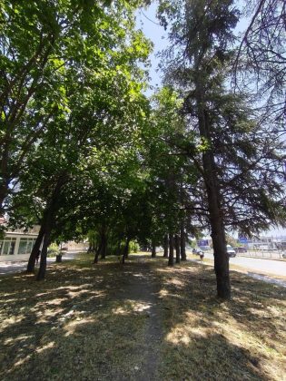 Обзор Poco F7: флагман по цене середнячка — это реальность? фото