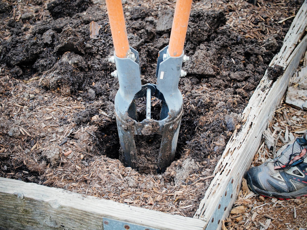 выращивание помидоров