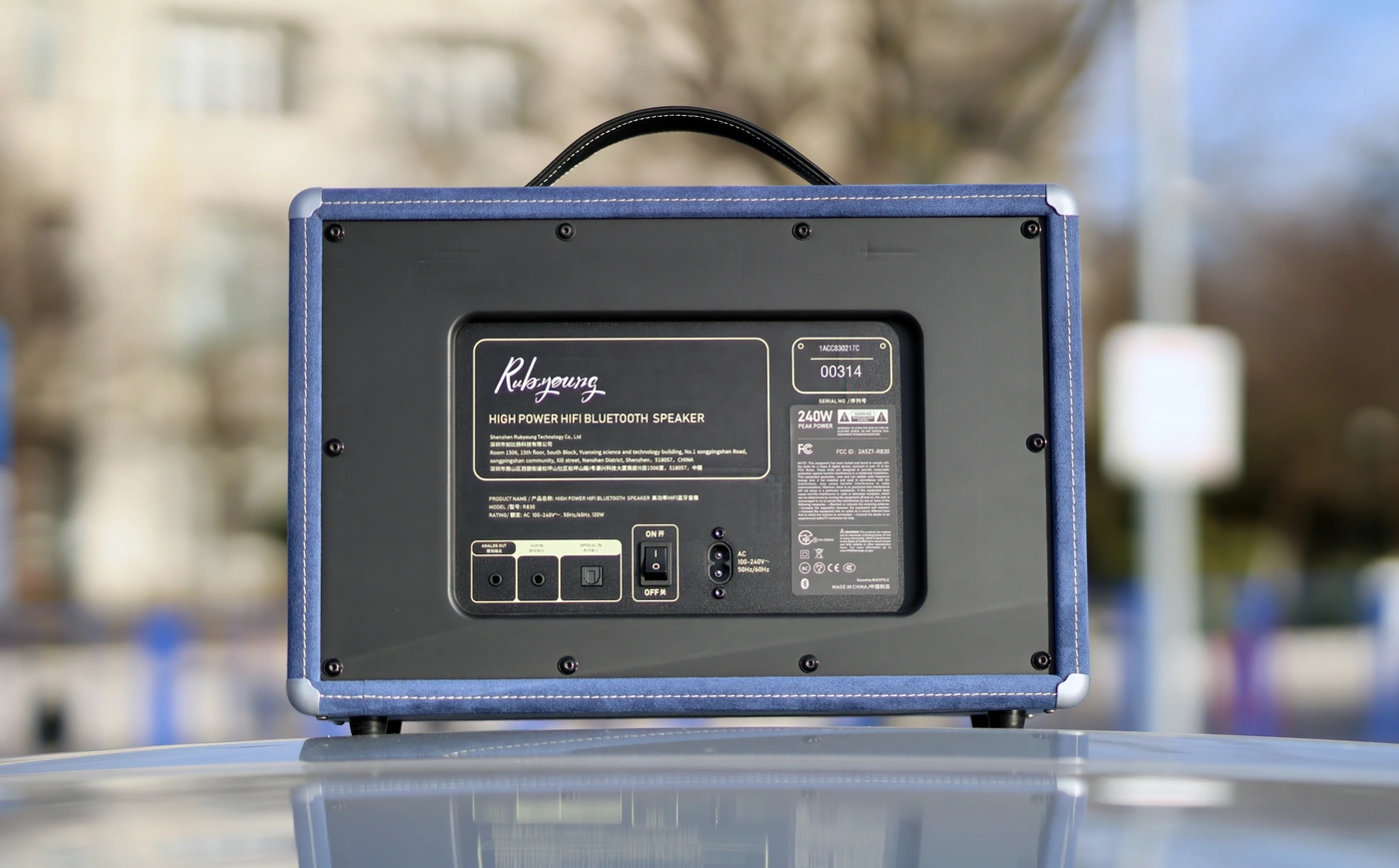 Rubyoung Master R830