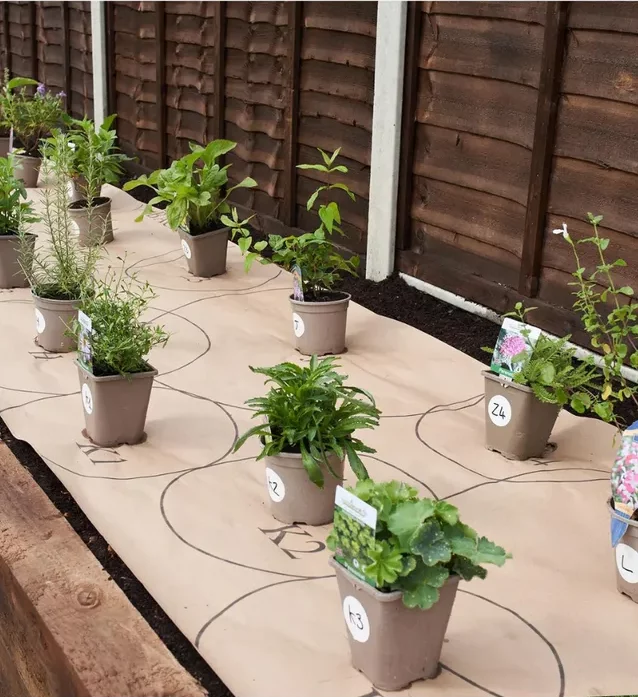 Сад без хлопот