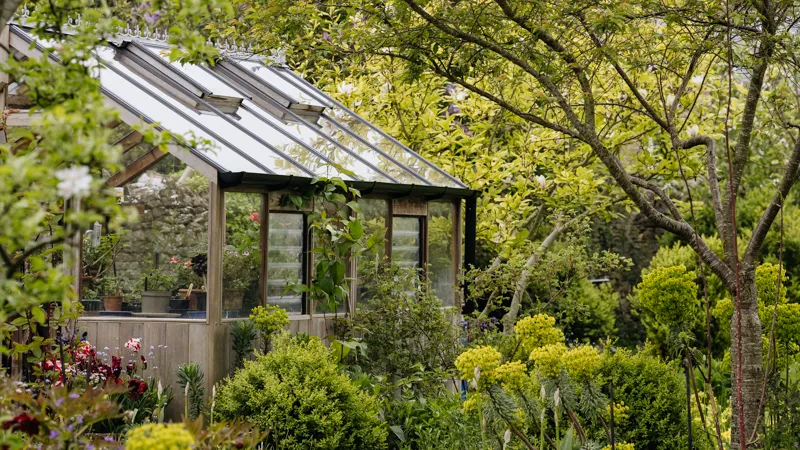 Сад без хлопот: 5 решений для тех, кто ничего не понимает в садоводстве