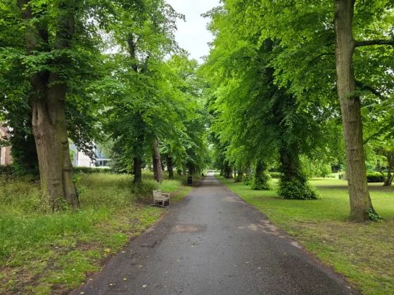 Стоит ли покупать Galaxy S25 Edge: мнение эксперта фото