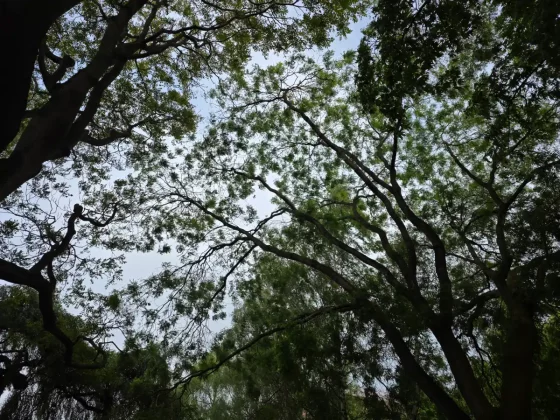 Стоит ли покупать Galaxy S25 Edge: мнение эксперта фото