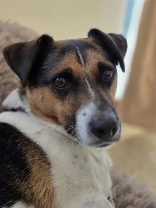 Обзор Galaxy S25 Edge: ультрасовременный флагман без сюрпризов фото