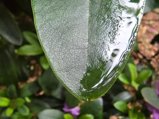 Стоит ли покупать Galaxy S25 Edge: мнение эксперта фото