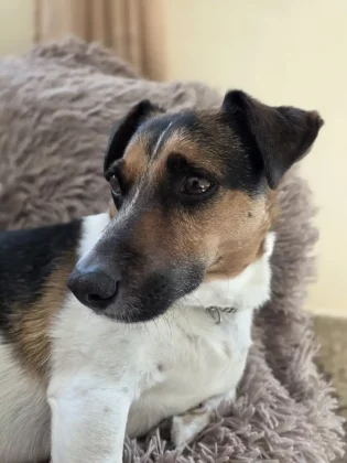 Стоит ли покупать Galaxy S25 Edge: мнение эксперта фото