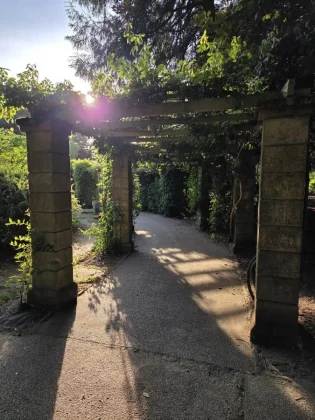 Стоит ли покупать Galaxy S25 Edge: мнение эксперта фото