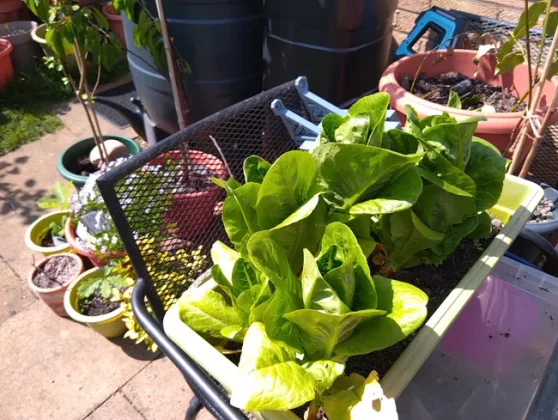 Обзор Sonim XP Pro 5G: отличаться от других не всегда хорошо фото