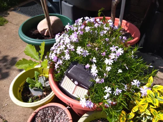 Обзор Sonim XP Pro 5G: отличаться от других не всегда хорошо фото