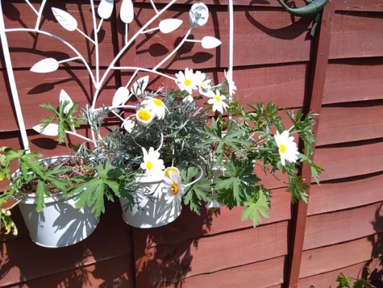 Обзор Sonim XP Pro 5G: отличаться от других не всегда хорошо фото