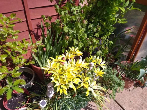 Обзор Sonim XP Pro 5G: отличаться от других не всегда хорошо фото