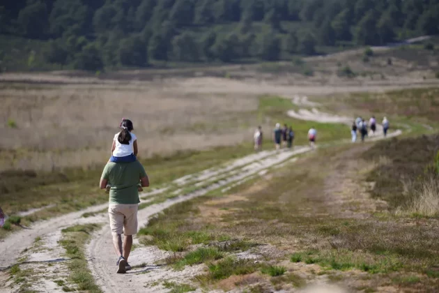 Обзор Sony FE 50-150 мм F2 GM: совершенный объектив для съемки мероприятий фото