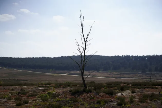 Обзор Sony FE 50-150 мм F2 GM: совершенный объектив для съемки мероприятий фото