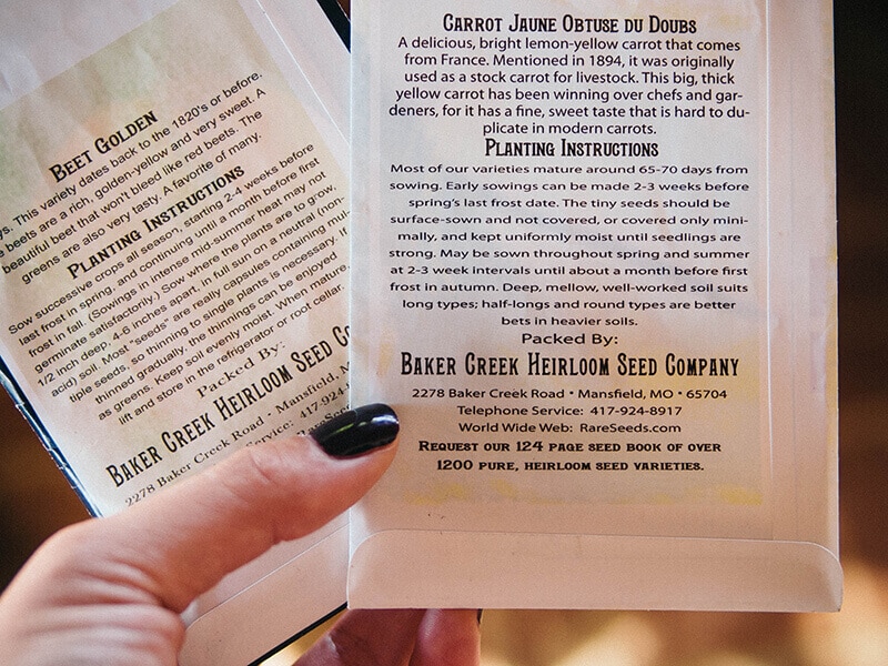 ТОП-8 ошибок садоводства, которые совершают большинство людей (и как их избежать)