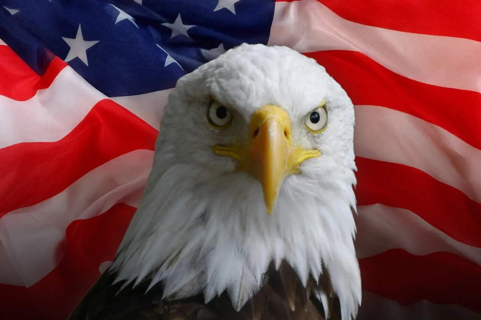 Trump Mobile T1 Phone 8002: 5 причин для покупки золотого смартфона картинка Trump Mobile T1 Phone 8002