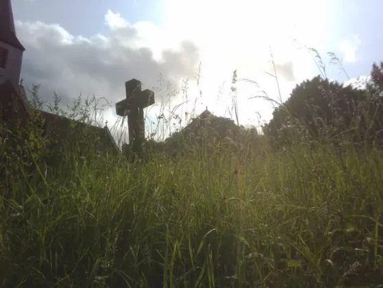 Обзор VTech KidiZoom Duo FX: дешевая и прочная детская камера фото