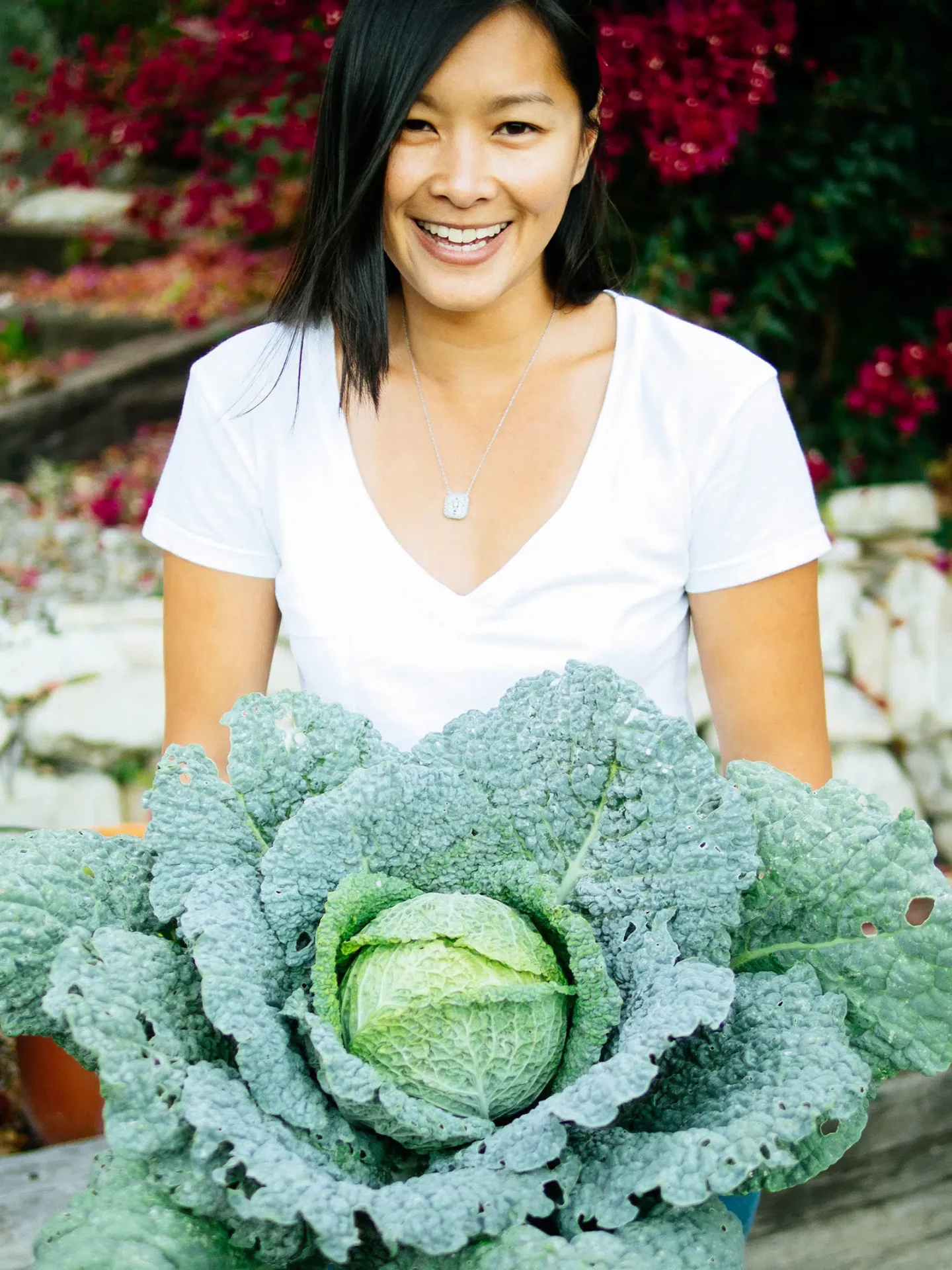 387628Выращивание овощей дома: 8 причин начать сегодня