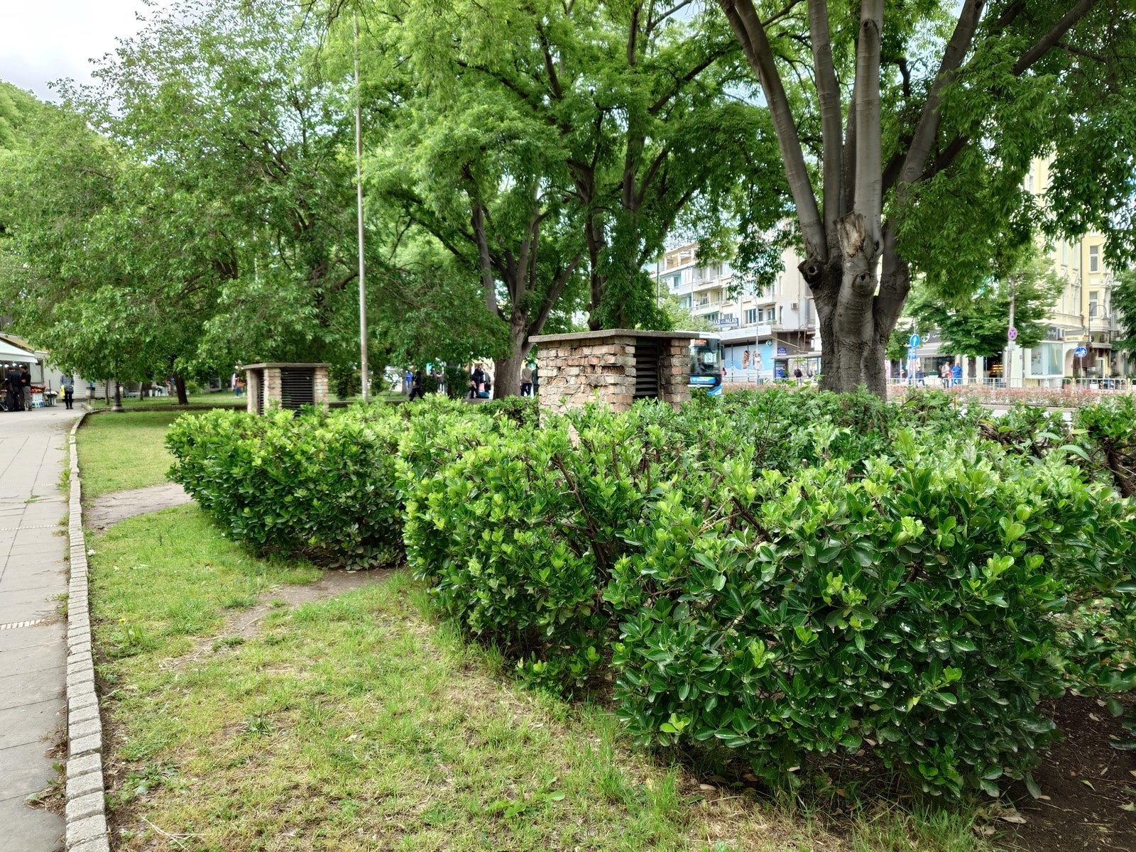 Показатель качества камеры Sony Xperia 1 VII: что делает Sony? картинка Показатель качества камеры Sony Xperia 1 VII: что делает Sony? фото