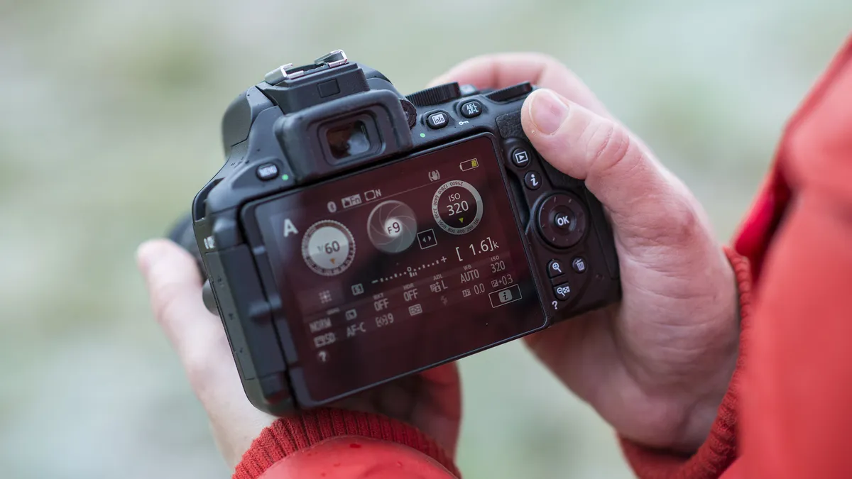 зеркальные камеры