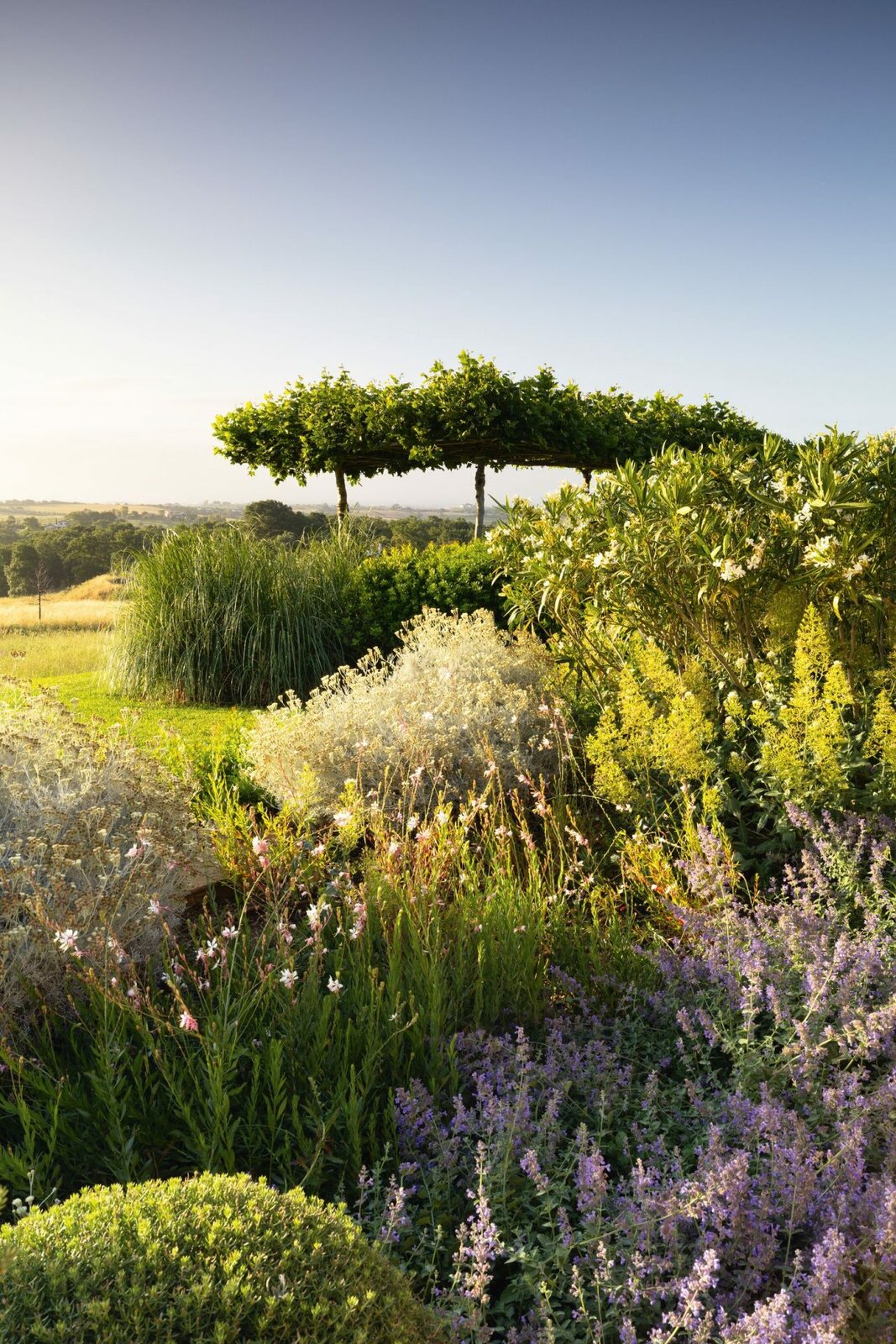 сад в Тоскане