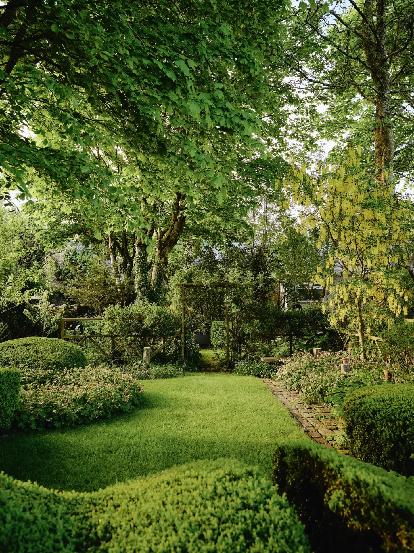 Почему стоит подумать о разделении вашего сада