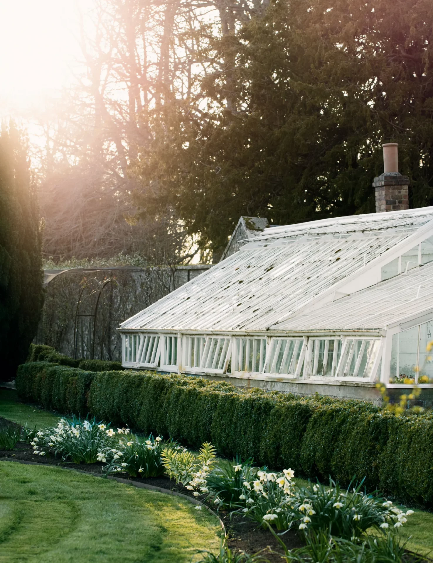 Оформление теплицы – стильные и практичные идеи-12