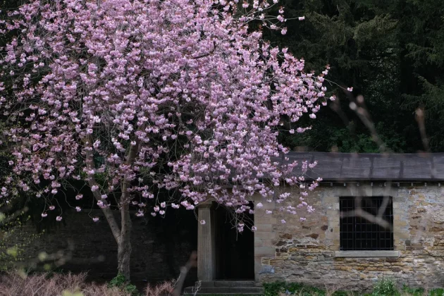 Fujifilm XF 70-300 mm F4-5.6 R LM OIS WR-2