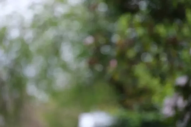 Fujifilm XF 70-300 mm F4-5.6 R LM OIS WR-3