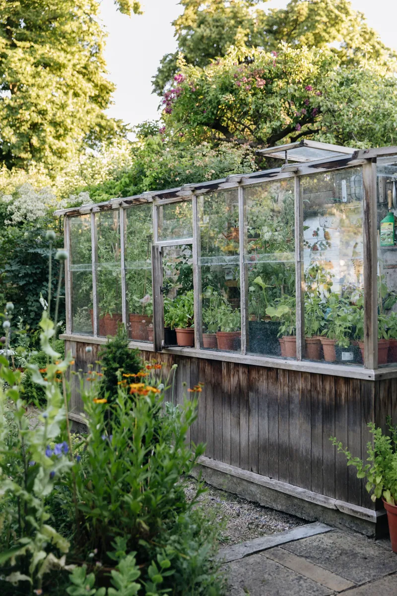 Оформление теплицы – стильные и практичные идеи-15
