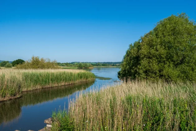 Sony E 10-20mm f/4 PZ G-4